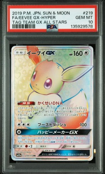 画像1: (状態A)イーブイGX HR (PSA10) 219/173 (1)