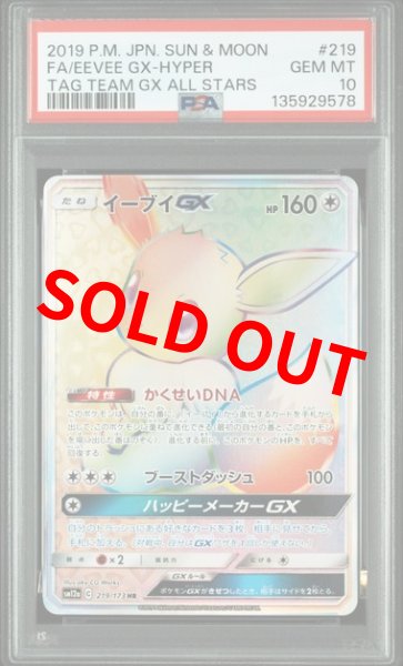 画像1: (状態A)イーブイGX HR (PSA10) 219/173 (1)