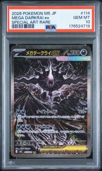 画像1: (状態A)メガダークライex SAR (PSA10) 114/081 (1)